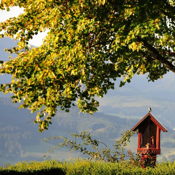 Ansicht Bildkreuz - Wander-Exerzitien im Haus Maria Lindenberg