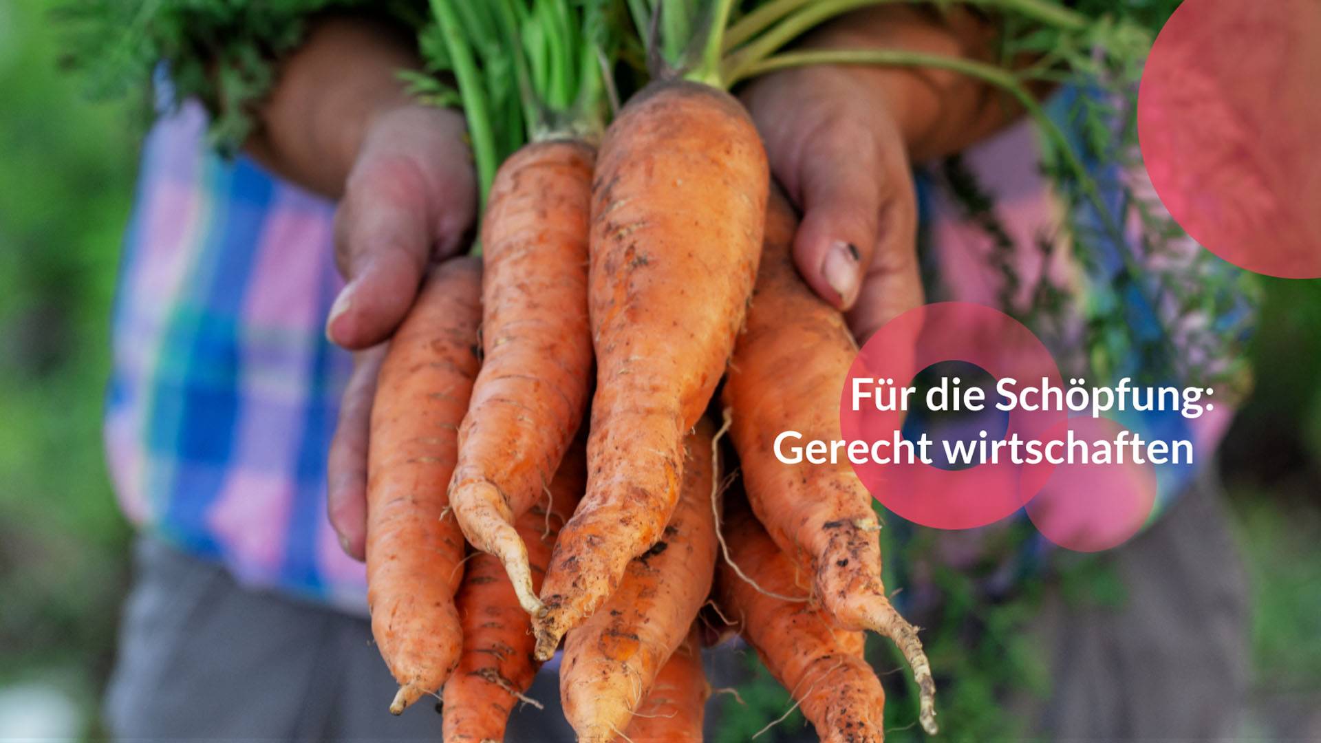 Quelle: iStock - xxx / Bildmontage: excogito